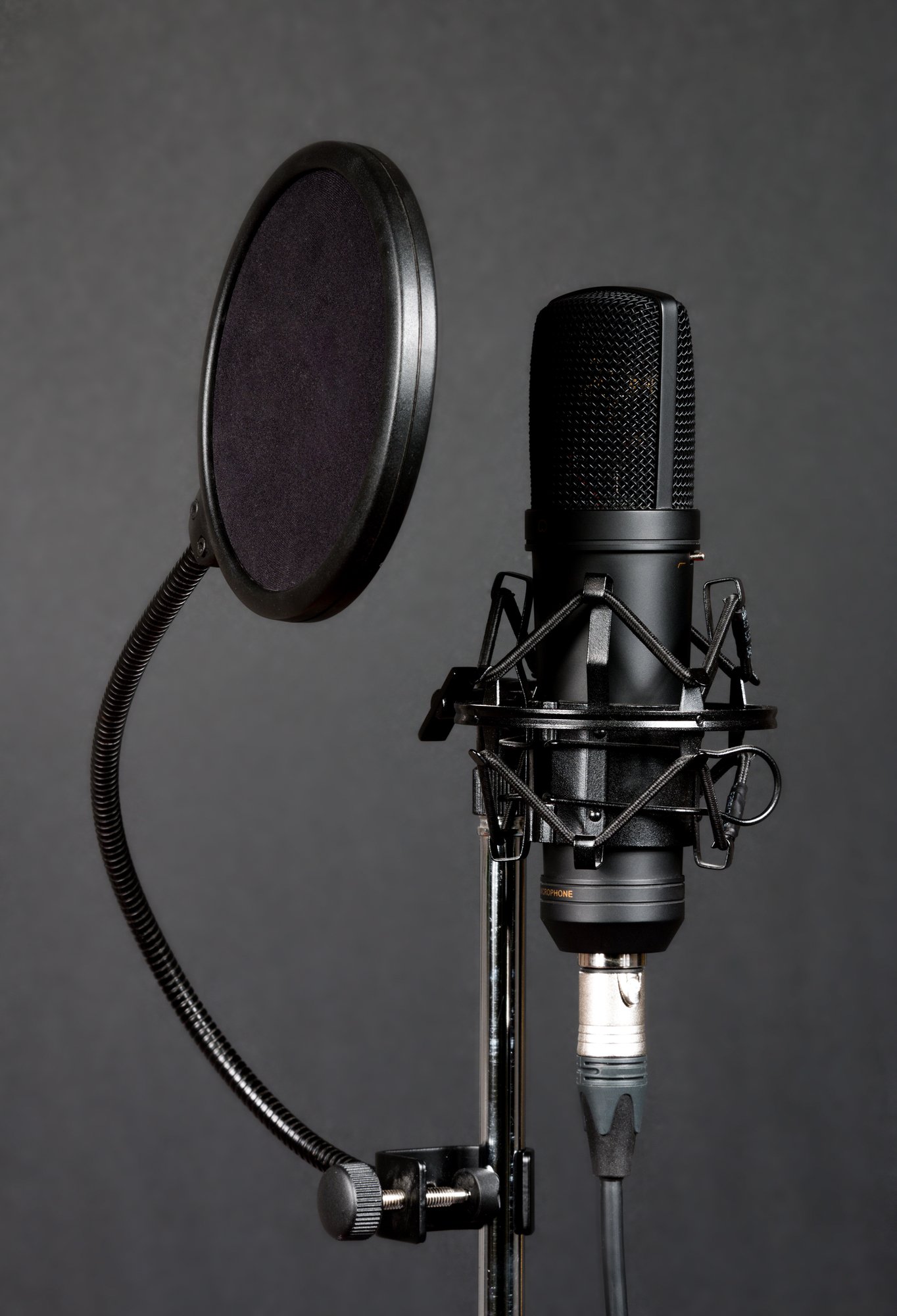 What are the Different Types of Microphones? - Home Recording Lab